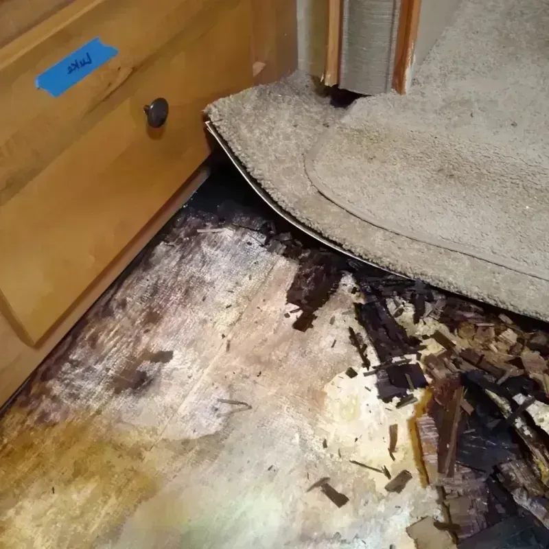 Wood Floor Water Damage in Kalifornsky, AK